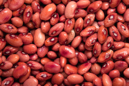 Red beansの写真素材