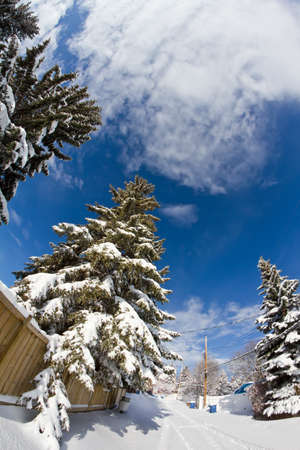 Snow in alleyの写真素材