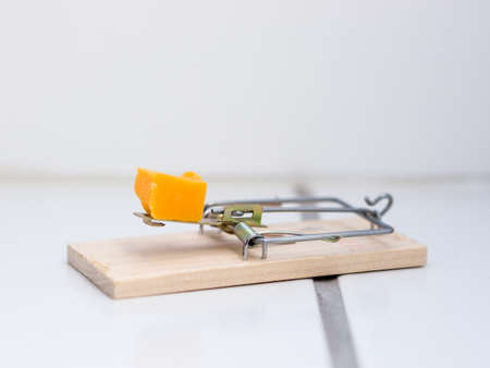 Mousetrap in bathroomの写真素材