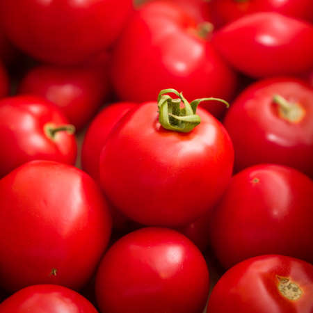 Red tomatoesの写真素材