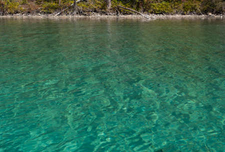 Clear green waterの写真素材