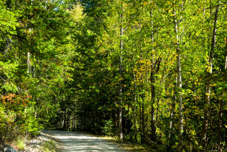 Country lane