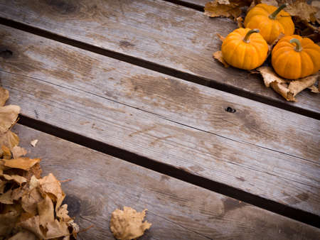 Fall harvest backgroundの写真素材