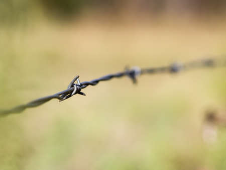 Barbed wireの写真素材