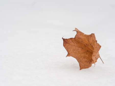 Winter backgroundの写真素材