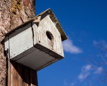 Birdhouseの写真素材