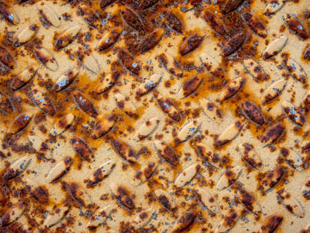 Grunge rust texture