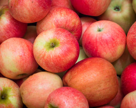 Apples backgroundの写真素材