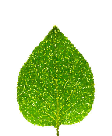 Leaf abstractの写真素材