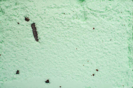 Chocolate chip mintの写真素材