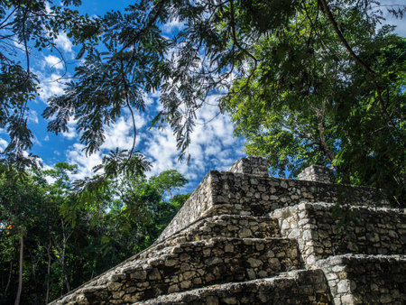Mayan ruins in Cobaの写真素材