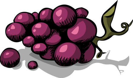 Black grapesのイラスト素材