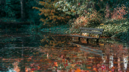 Lonely Bench In Puddle; Fall Daytimeの写真素材