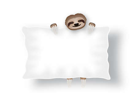 white board with three-toe slothのイラスト素材