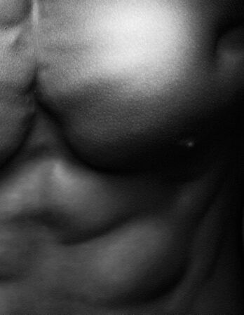 Human Body Chest in Black and Whiteの写真素材