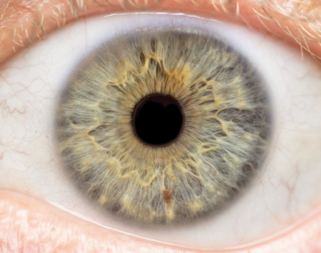 Macro photo of human eye, iris, pupil, eye lashes, eye lids.の写真素材