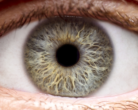 Macro photo of human eye, iris, pupil, eye lashes, eye lids.の写真素材