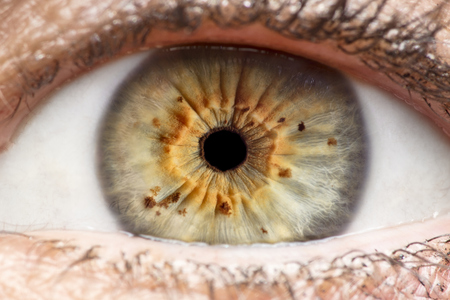 Macro photo of human eye, iris, pupil, eye lashes, eye lids.の写真素材