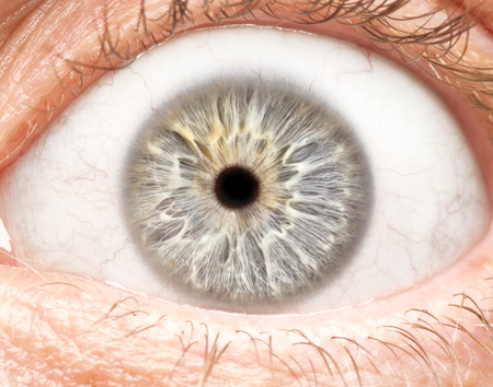 Macro photo of human eye, iris, pupil, eye lashes, eye lids.の写真素材