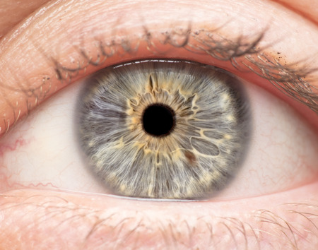Macro photo of human eye, iris, pupil, eye lashes, eye lids.の写真素材