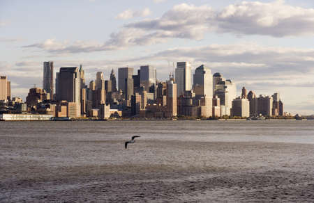 A seagull in the foreground flies over the Hudson River. Downtown New York City is on the far shore of the river.の写真素材