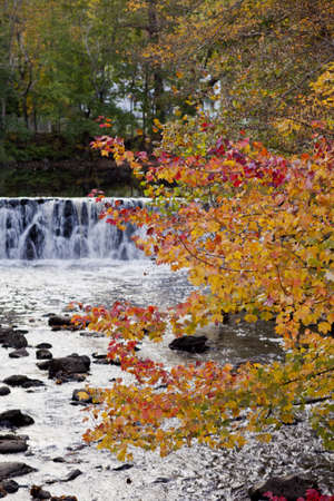 The reds and yellows of autumn leaves mix in a mild breeze in front of a small waterfall close to...