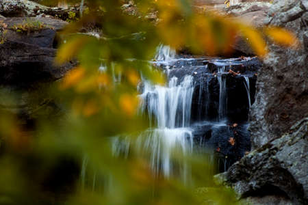 Water flows over a small waterfall with foliage in the foreground