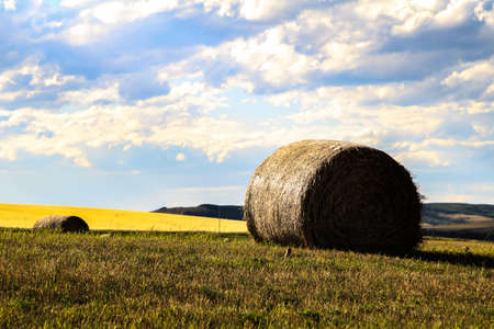 Summer near Okotoks with hay balesの写真素材