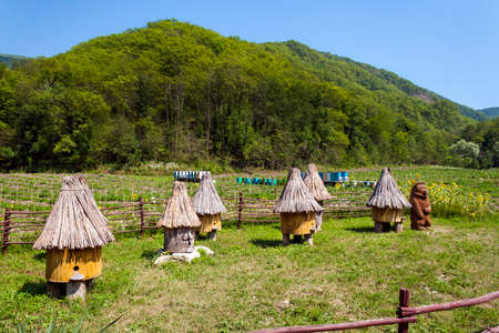 Beekeeping apiary in green mountains.