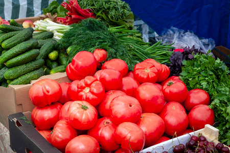 Vegetables and greens on the market.の写真素材