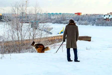 Russia, Surgut, December 20, 2018: A man walks a dog on a frosty winter morning. Dog poops on clean snow. Pollution of the environment.のeditorial素材