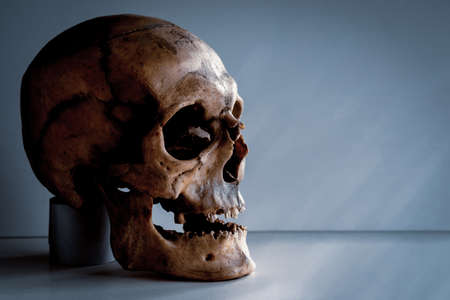 Human skull in grunge style with copy space.の写真素材