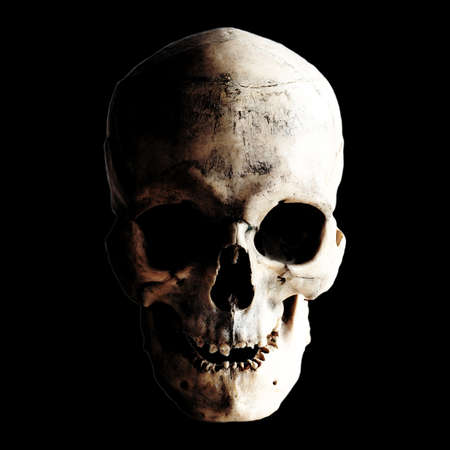 Contrast image of a real human skull on a dark background. Laughing skull. Jolly Roger. Isolated on black.の写真素材