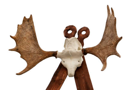 Imitation totem on a wooden base with a deer skull and horns. Isolated on white.の写真素材
