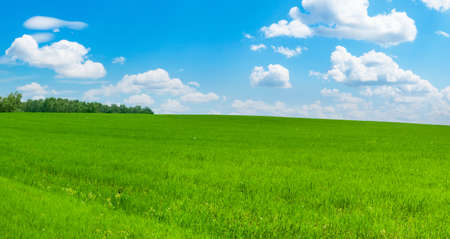 Green hillside under the blue sky with beautiful clouds as wallpaper on your desktop. A beautiful emerald green field.の写真素材