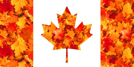 Canadian flag. The Canadian national flag is made up of fallen maple leaves.の写真素材