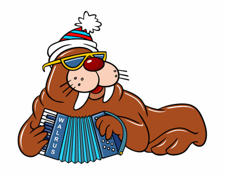 cartoon walrus musician. Cartoon walrus in a winter hat plays the button accordion. Vector color image of a cartoon Walrus isolated on white.のイラスト素材