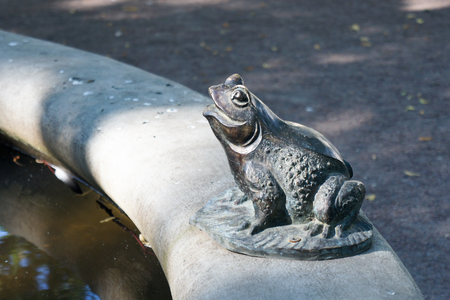 Bronze Frog