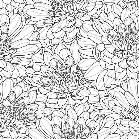 Black and white flower seamless hand drawn vector background with chrysanthemums. EPS8.のイラスト素材