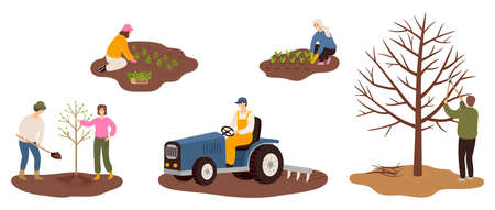 Set of happy farmers working on farm planting crops, plant a tree, plowing the field, pruning tree branches. Flat vector illustrations isolated on white background. Cartoon characters of man and woman farming concept.のイラスト素材
