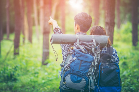 Amid the pine forests, young men and young women hikers Asians. They are travelers, adventure lovers of nature. Studying the ecology of rainforests. The man pointing to what he sees with copy space.の写真素材