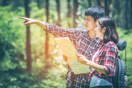 Amid the pine forests, young men and young women hikers Asians. They are travelers, adventure lovers of nature. Studying the ecology of rainforests. The man pointing to what he sees with copy space.の写真素材