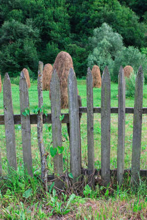 Haystacks behind a wooden fence in a green environmentの写真素材