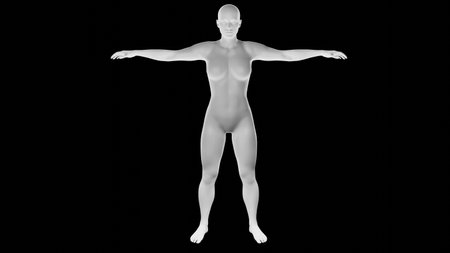 Beautiful athletic young woman posing isolated on black. Basic mesh, AI, robot. 3d illustration, rendering. Front viewの写真素材