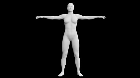 Beautiful athletic young woman posing isolated on black. Basic mesh, AI, robot. 3d illustration, rendering. Front viewの写真素材