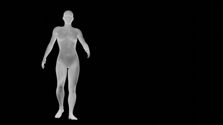 Beautiful athletic young woman posing isolated on black. Basic mesh, AI, robot. 3d illustration, rendering. Front viewの写真素材