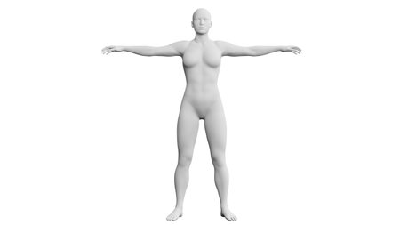 Beautiful athletic young woman posing isolated on black. Basic mesh, AI, robot. 3d illustration, rendering. Front viewの写真素材