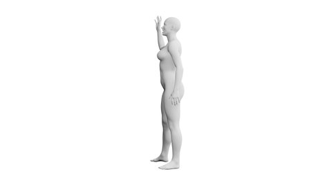 Beautiful athletic young woman posing isolated on black. Basic mesh, AI, robot. 3d illustration, rendering. Side viewの写真素材