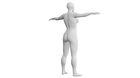 Beautiful athletic young woman posing isolated on black. Basic mesh, AI, robot. 3d illustration, rendering. Viewed from backの写真素材