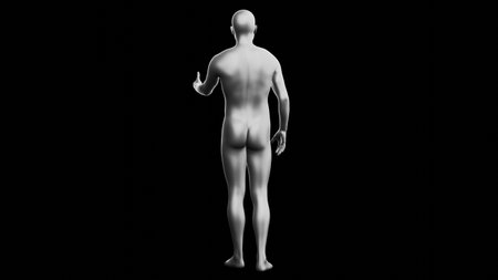 Beautiful young metallic silver man posing, isolated on black background. 3d illustration (rendering). Silver mannequin, android. Back viewの写真素材